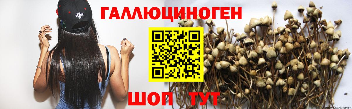Черняховск  Галлюциногенные грибы ЛСД  Вход с VPN 