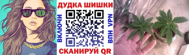 МАРИХУАНА марихуана  купить закладку  ссылка на мегу ONION  Черняховск 